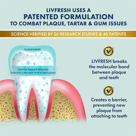LIVFRESH Wintergreen multi-pack - Image 3